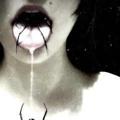 caughtinherweb