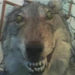 @ghjfvnjgdx