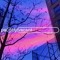 PARTLY VACANT RECORDS ®