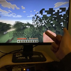 neverstatic666