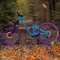MtbGuy