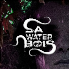 S̸A̴ ̷W̴A̵T̵E̵R̴ ̷B̷O̴I̸S̶