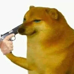 _Igor_