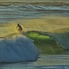 Ross Bird