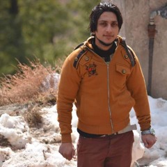 Usman Shakir