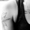 Ismay