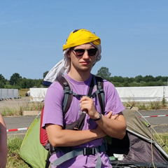schwerwe