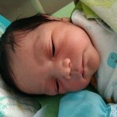 Musim Hujan