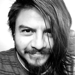 Andrés Esteban Ochoa T.