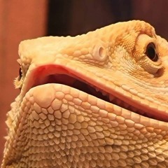 TheHolyHobnob