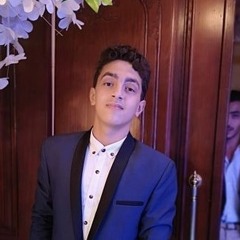 Ali Hashad