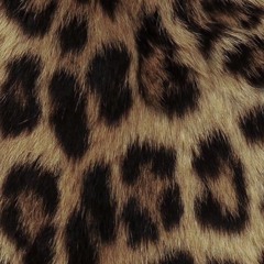 молодой матвей