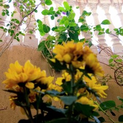 Raghad