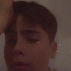 leon tiktok leonbosse210