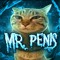 mr penis
