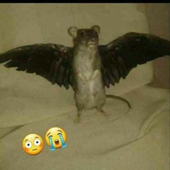 badtoria