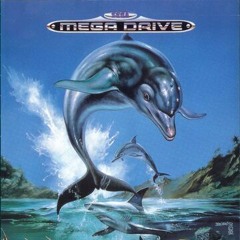 Trash Dolphin