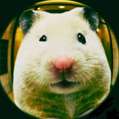 DeeTee