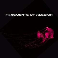 Fragments of Passion