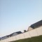 F1ne