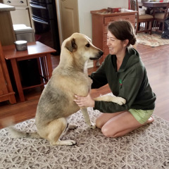 Adrienne Camille Wilson