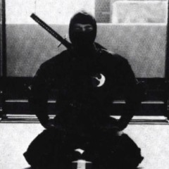 sina Hedayatnezhad