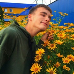 Dmitriy Kotik