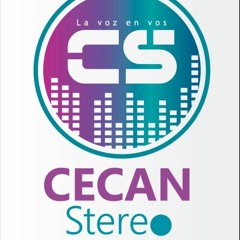 cecanstereo.com