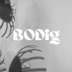 BODig