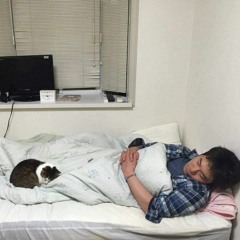 konton-kontrol 第八部