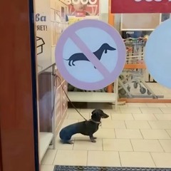 нежная