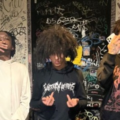 zepdachrist