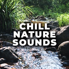Chill Nature Sounds