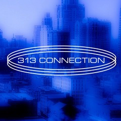 313 Connection
