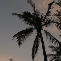 Дмитрий Пеленев