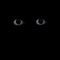 i see you                             👁   👁