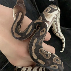 ben