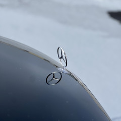 Frank_White⛈⚪️