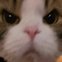 😛