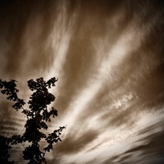 Impetus