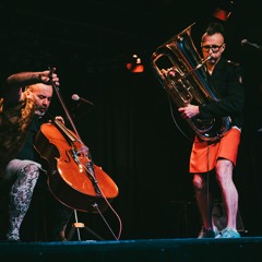 Monsieur Deux (cello-tuba shoegaze)