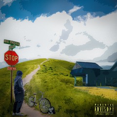 Ynl Clay