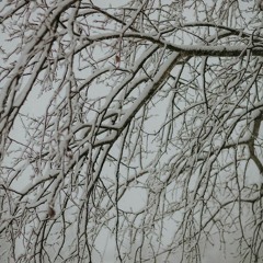 Borda Winter