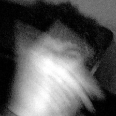 AntStillFinessin