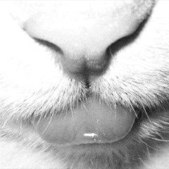 wannacutmyface