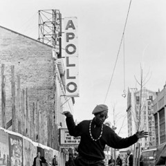 APOLLO