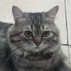 Tiến Đạt