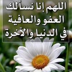 Khaled Awadalla