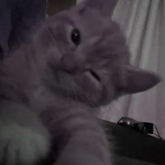 catrica