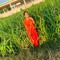 Sh@Rn m@Rw@H@